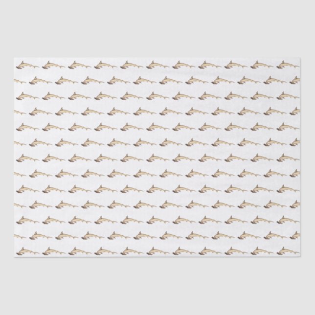 Vintage Hammerhead Shark Drawing Tissue Paper (Front)