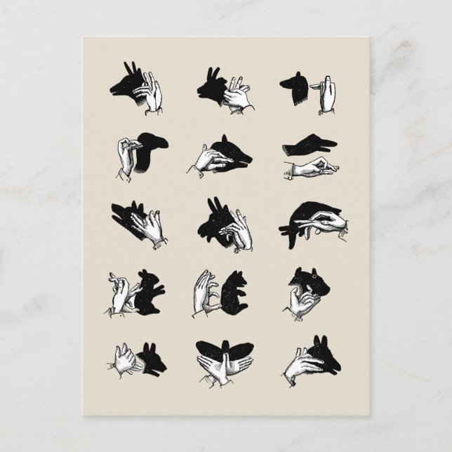Vintage Hand Puppet Shadow Games Postcard (Front)