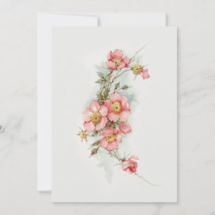 Vintage Handpainted Style Wild Roses Card