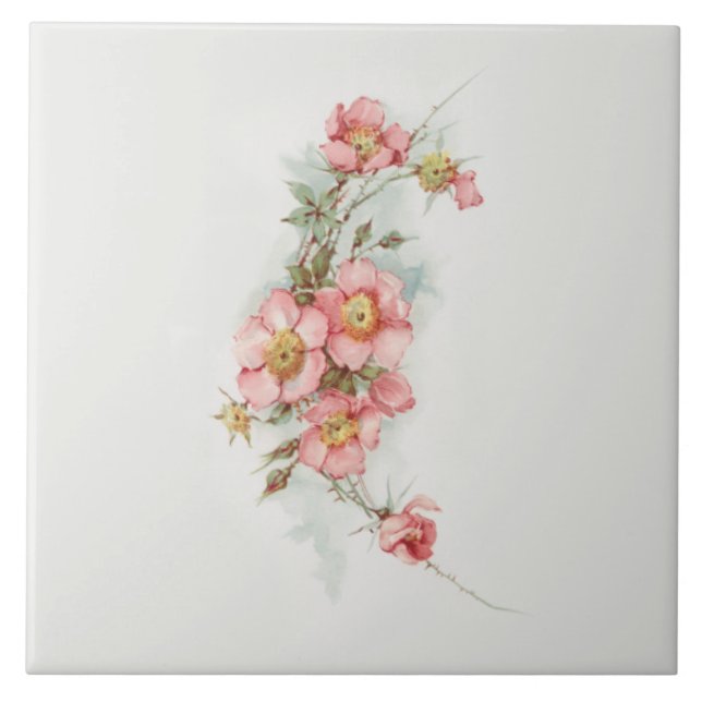 Vintage Handpainted Style Wild Roses Tile (Front)