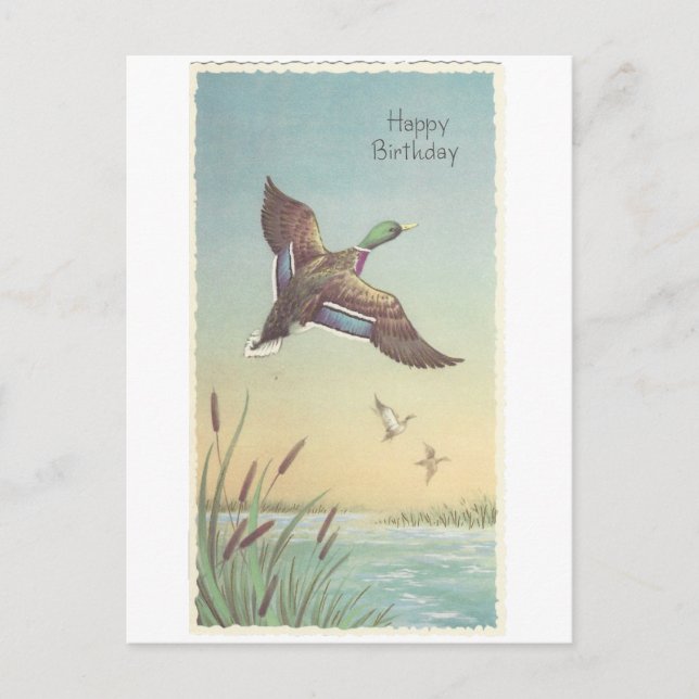 Vintage Happy Birthday Mallard Postcard (Front)