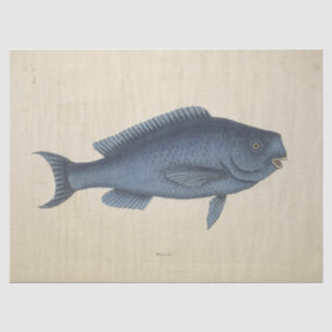 Vintage  Happy Blue Fish Ephemera Decoupage Tissue Paper