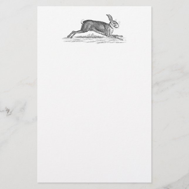 Vintage Hare Bunny Rabbit 1800s Illustration Stationery (Front)