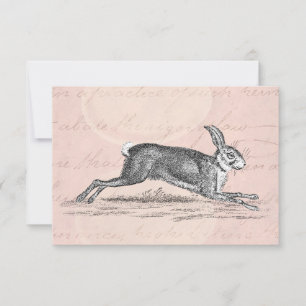 Vintage Hare Bunny Rabbit Illustration - Rabbits