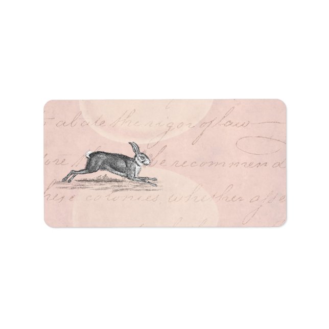 Vintage Hare Bunny Rabbit Illustration - Rabbits Label (Front)