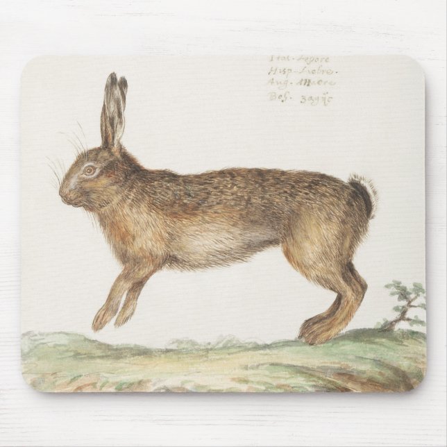 Vintage Hare Illustration Mouse Pad (Front)