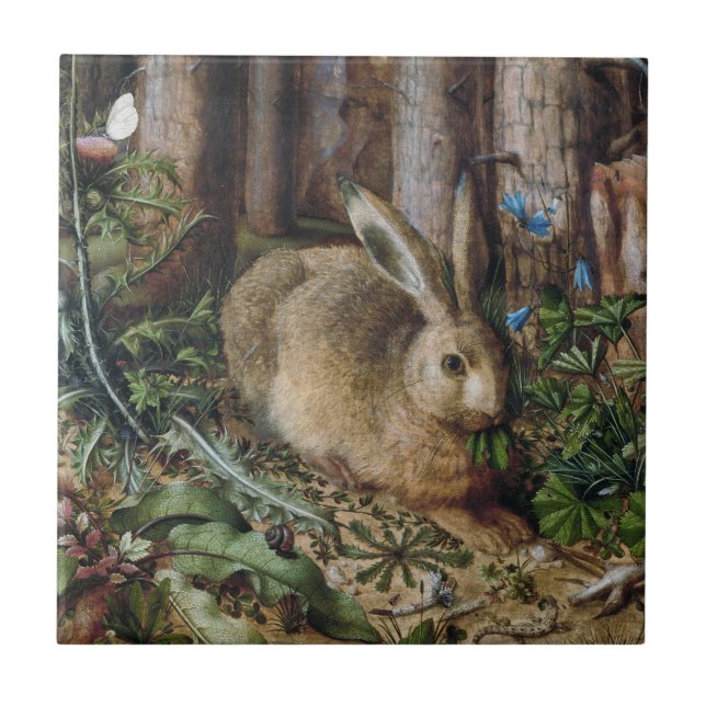 Vintage Hare Woodland Nature Dark Cottagecore Tile (Front)