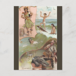 Vintage Hawaii Postcard