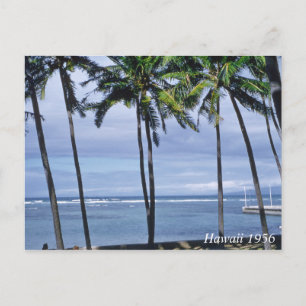 Vintage Hawaii Postcard