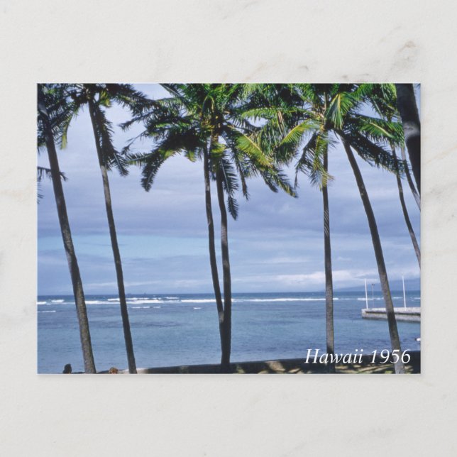 Vintage Hawaii Postcard (Front)