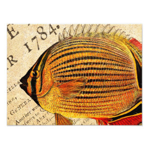 Vintage Hawaiian Butterfly Fish Customised Antique Photo Print