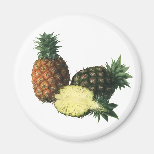Vintage Hawaiian Pineapples, Organic Food Fruit Magnet (Front)