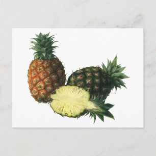 Vintage Hawaiian Pineapples, Organic Food Fruit Postcard