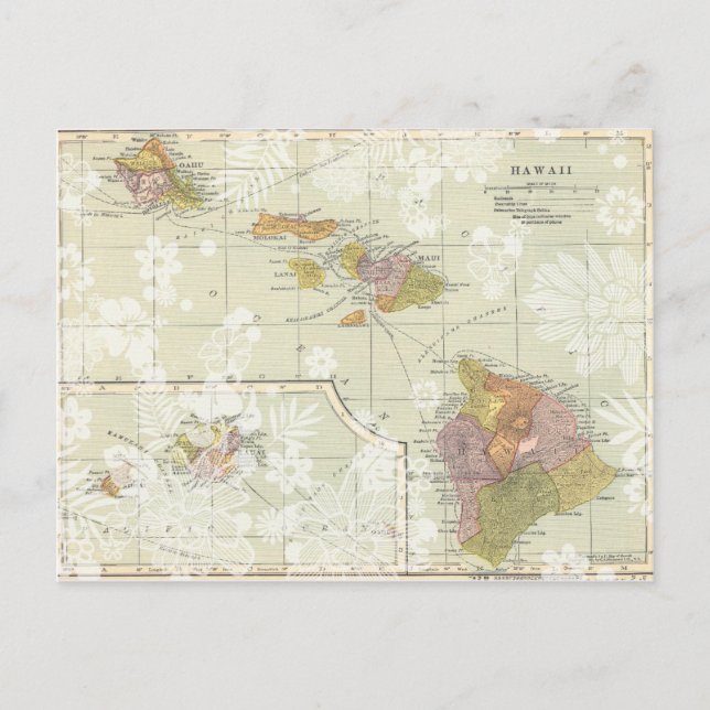 Vintage Hawaiian Postcard Save the Date (Front)