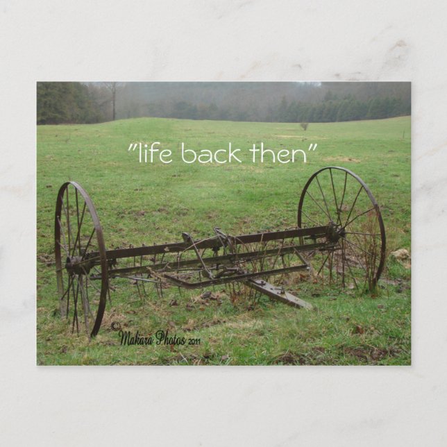 Vintage Hay Rake- customise Postcard (Front)