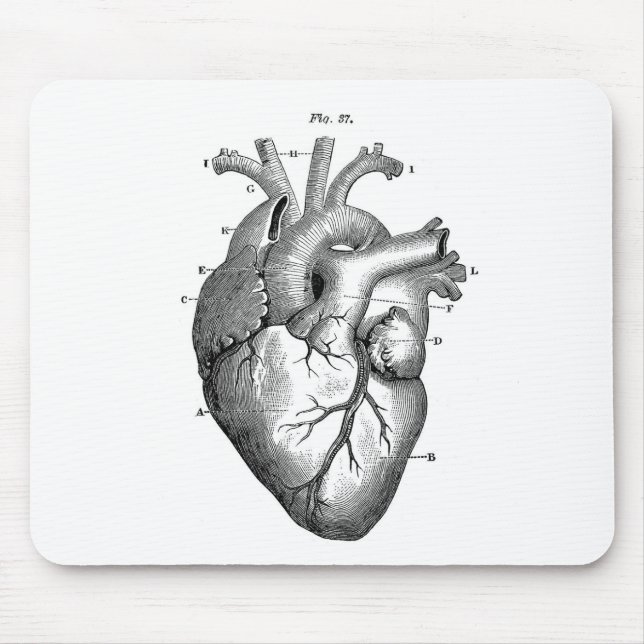 Vintage Heart Anatomy | Customisable Mouse Pad (Front)