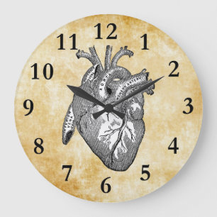 vintage heart anatomy large clock