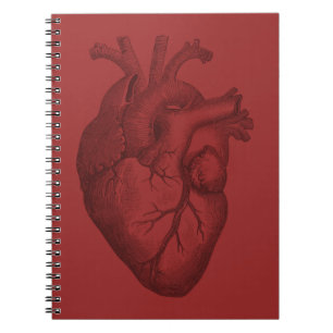 Vintage Heart Illustration Spiral Notebook