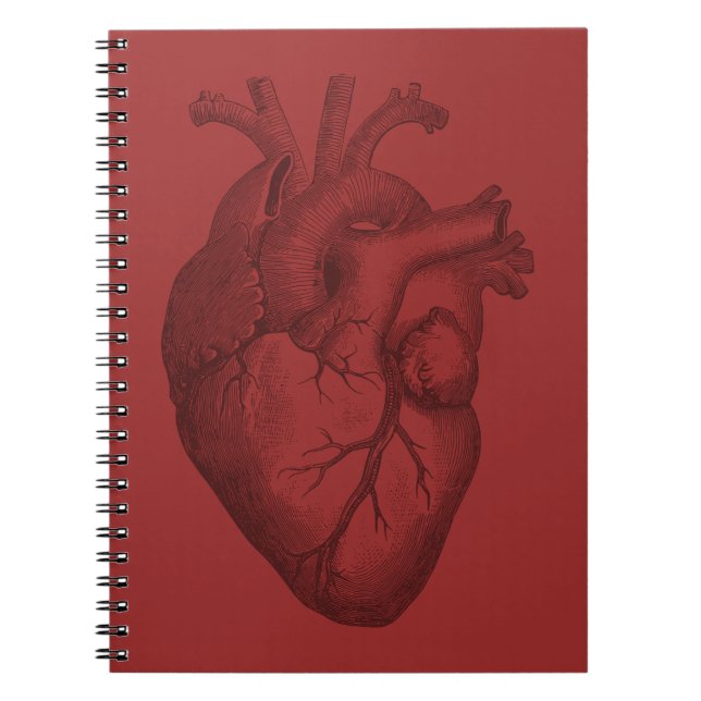 Vintage Heart Illustration Spiral Notebook (Front)