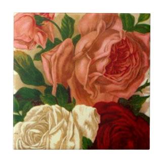 Vintage Heirloom Roses Antique Old Blush Rose Tile