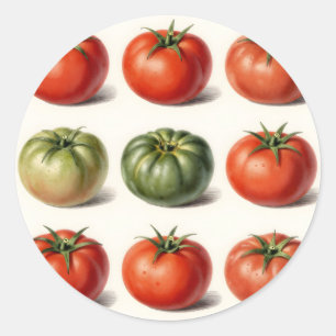 Vintage Heirloom Tomato Variety Botanical Grid  Classic Round Sticker