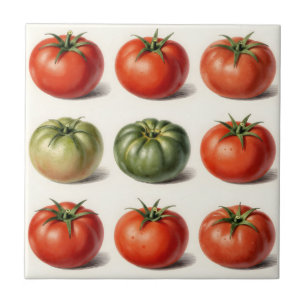 Vintage Heirloom Tomato Variety Botanical Grid  Tile