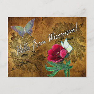 Vintage Hello From Wisconsin Postcard