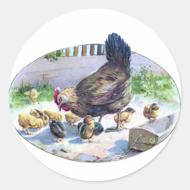 Vintage Hen and Chicks Classic Round Sticker (Front)