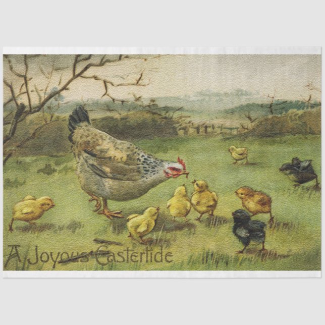 Vintage Hen Easter Holiday Tissue Paper (Front)