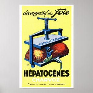 Vintage Hepatogenes Charvoz French Medical Poster