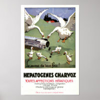 Vintage Hepatogenes Charvoz French Medical Poster