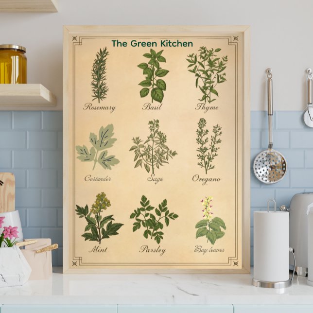 Vintage Herb Chart Botanical Kitchen Canvas Print (Creator Uploaded)