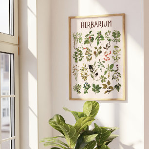 Vintage Herbarium Green Plant Chart Wall Art