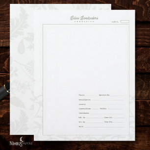 Vintage Herbarium Plant White Specimen Sheet Custom Letterhead