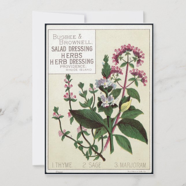 Vintage herbs Art Invitation (Front)