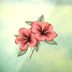 Vintage Hibiscus