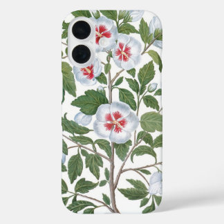 Vintage Hibiscus Flowers by Basilius Besler iPhone 16 Case