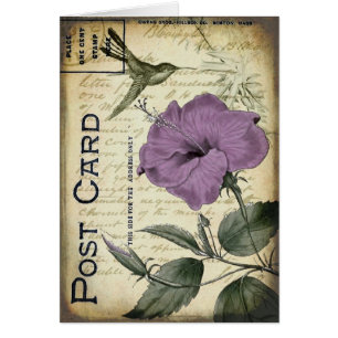 Vintage Hibiscus Hummingbird