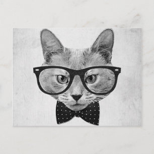 Vintage hipster cat postcard