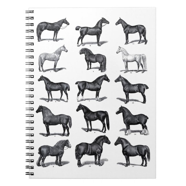 Vintage historic horse illustration notebook (Front)