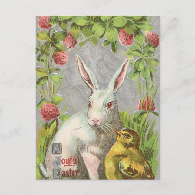 Vintage Holiday Bunny Easter Postcard (Front)