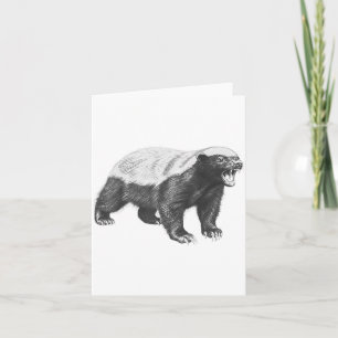 Vintage Honey Badger Drawing Realistic Wildlife An Card