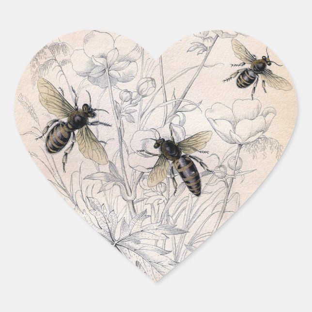 Vintage Honey Bee Art Print Heart Sticker (Front)
