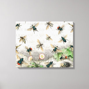 Vintage Honey Bee Queen Bee Entomology Botanical Canvas Print