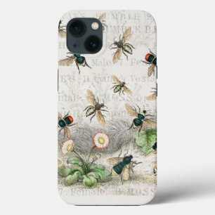 Vintage Honey Bee Queen Bee Entomology Botanical iPhone 13 Case