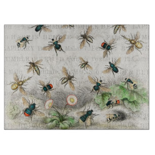Vintage Honey Bee Queen Bee Entomology Botanical Cutting Board
