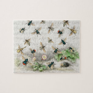 Vintage Honey Bee Queen Bee Entomology Botanical Jigsaw Puzzle