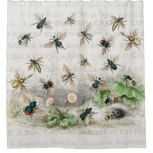 Vintage Honey Bee Queen Bee Entomology Botanical Shower Curtain