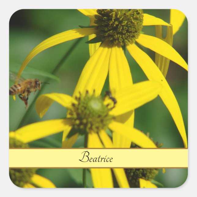 Vintage Honeybee Illustration Personalised  Square Sticker (Front)