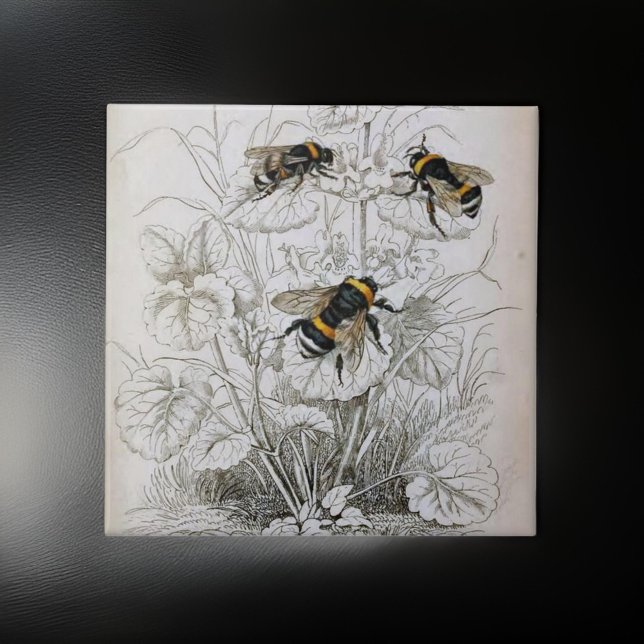 Vintage HoneyBee Illustration | Tile (Creator Uploaded)